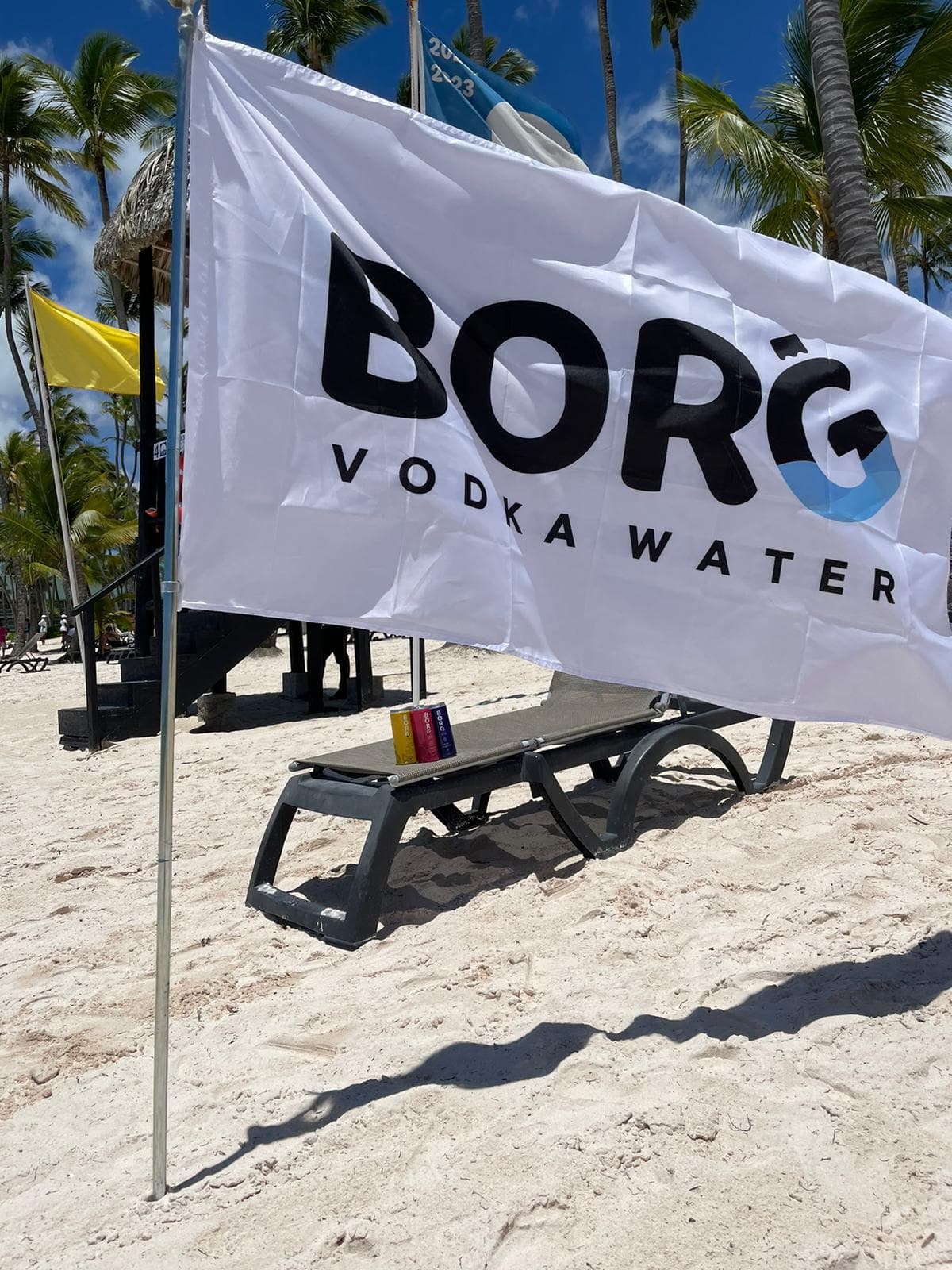 Borg Flag